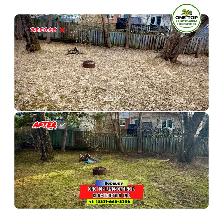 Leaf cleaning, yard cleaning, dump run and grass cutting - Photo 4