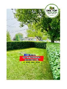 Leaf cleaning, yard cleaning, dump run and grass cutting - Photo 6