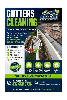 Leaf cleaning, yard cleaning, dump run and grass cutting - Photo 7