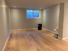 Brand new 2 Bedroom Basement Apartment in Crystal Beach area - Photo 2