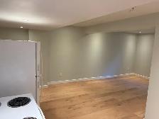 Brand new 2 Bedroom Basement Apartment in Crystal Beach area - Photo 3