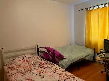 Charmant 5 1/2 à Ahuntsic à louer - Beautiful 5 1/2 for rent - Photo 5