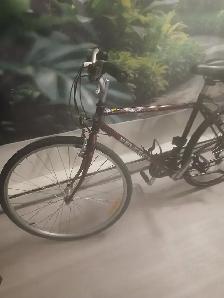PEUGEOT Evasion bicycle