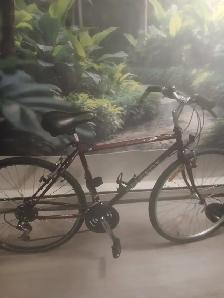 PEUGEOT Evasion bicycle - Photo 3