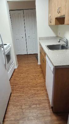 2-Bedroom Near U of M | 5-Min Bus Ride | Utilities Included | Po - Photo 2