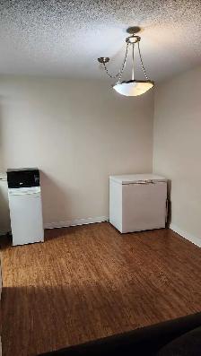 2-Bedroom Near U of M | 5-Min Bus Ride | Utilities Included | Po - Photo 3