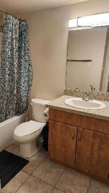 2-Bedroom Near U of M | 5-Min Bus Ride | Utilities Included | Po - Photo 4