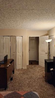 2-Bedroom Near U of M | 5-Min Bus Ride | Utilities Included | Po - Photo 6