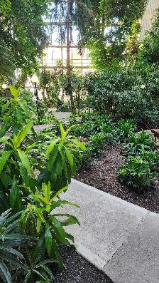 2-Bedroom Near U of M | 5-Min Bus Ride | Utilities Included | Po - Photo 10