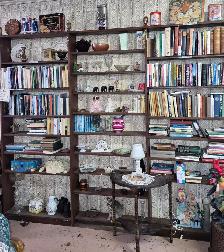 ALL BOOKS $3.00 OR LESS AT CRAIGY MUIR CURIOSITIES SPENCERVILLE - Photo 9