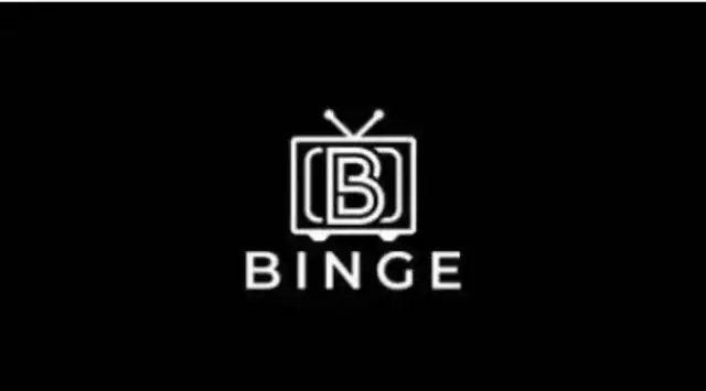 Digital Entertainment Streaming Service