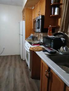 Single and sharing  rooms for rent available - Photo 5