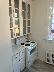 3 Bedroom Centretown Apartment for Rent (353 Frank St) - Photo 7