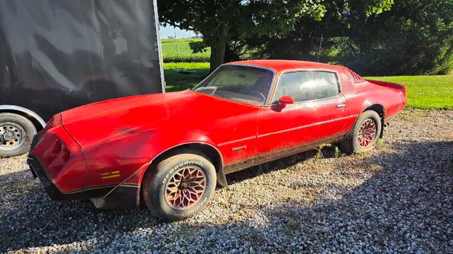 1979 Pontiac Firebird, RedBird Edition