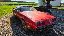 1979 Pontiac Firebird, RedBird Edition - Photo 3