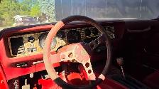 1979 Pontiac Firebird, RedBird Edition - Photo 7