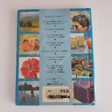 LA PEINTURE À L'HUILE DE HELEN DOUGLAS-COOPER 100 ASTUCES: $5.00 - Photo 2