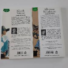 SÉRIE2 ROMANS NEUFS ADO 9à12ans DE DOMINIQUE DEMERS: $10.00 LES2 - Photo 2