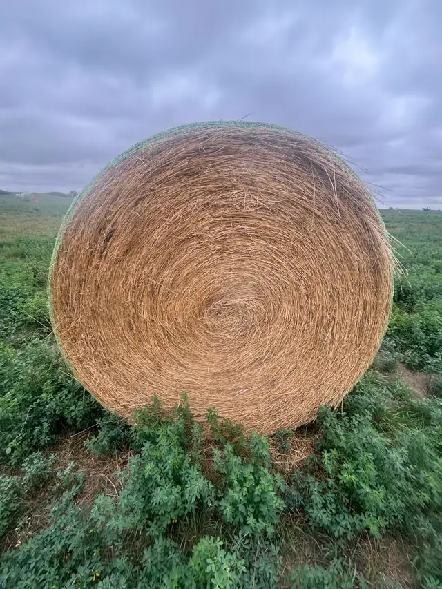 Hay Bales