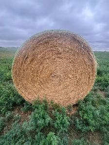 Hay Bales