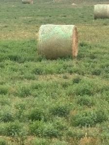 Hay Bales - Photo 2