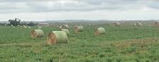 Hay Bales - Photo 3