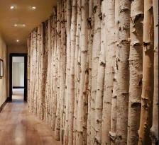 BIRCH POLES - CANDLES - Photo 5