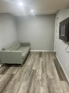 private one bedroom in a legal basement in NENE - Photo 3