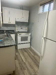 private one bedroom in a legal basement in NENE - Photo 4