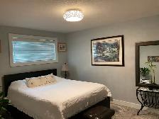 Fully renovated and furnished 2 bdr sep entr & laundry bsm suite - Photo 8
