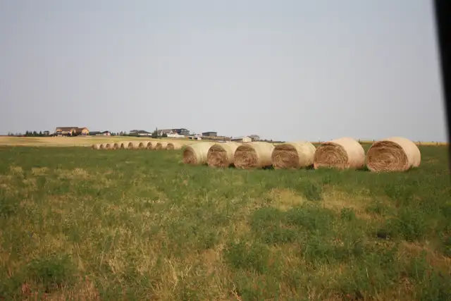 2026 Hay crop