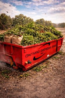 Disposal Bin Rental! For Construction, Renovation, & More! - Photo 3