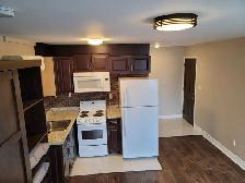 Fully Renovated Bachelor Apt. just across the Greenwood subway! - Photo 4