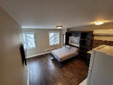 Fully Renovated Bachelor Apt. just across the Greenwood subway! - Photo 10