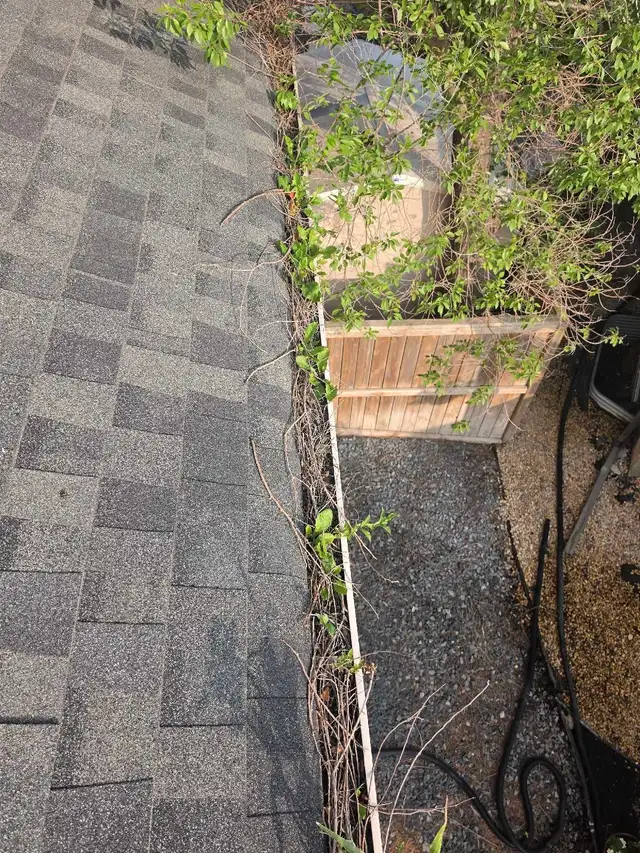 eavestrough cleaning