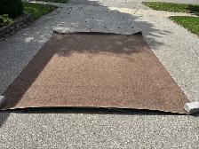 Area Rug - Photo 3