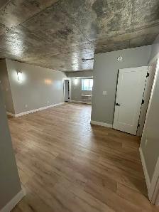 New Two Bedroom 2 Bathroom Available Now in Minnow Lake - Photo 2