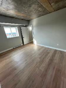 New Two Bedroom 2 Bathroom Available Now in Minnow Lake - Photo 3