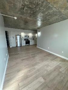 New Two Bedroom 2 Bathroom Available Now in Minnow Lake - Photo 5