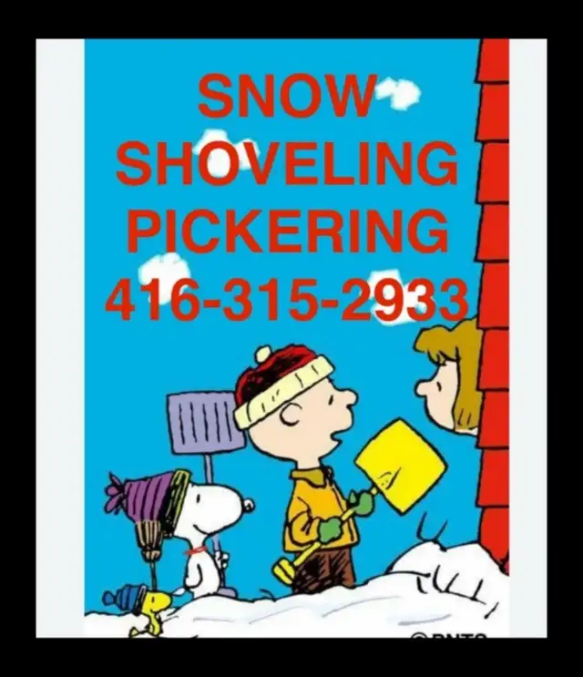 SNOW SHOVEL SNOWBLOWER PICKERING DRIVEWAY