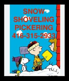 SNOW SHOVEL SNOWBLOWER PICKERING DRIVEWAY