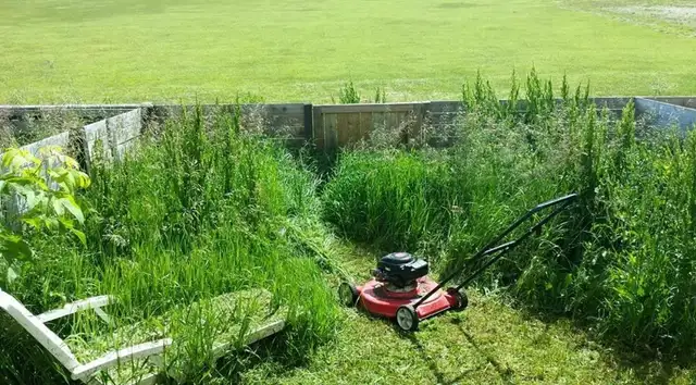 Quick & Affordable Lawn Cutting