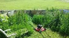 Quick & Affordable Lawn Cutting