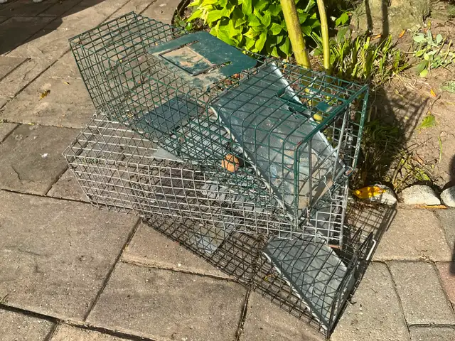 Live Traps