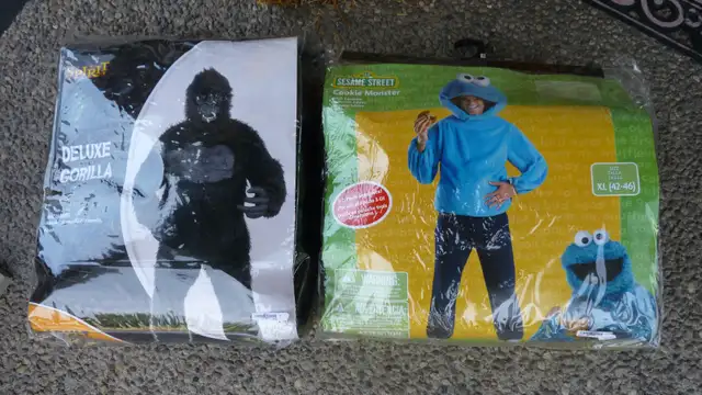 2 Adult Halloween Costumes