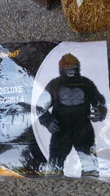2 Adult Halloween Costumes - Photo 4