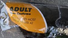 2 Adult Halloween Costumes - Photo 8