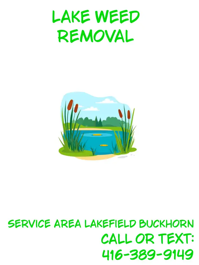 Lake weed removal