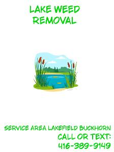 Lake weed removal