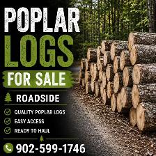 Poplar logs